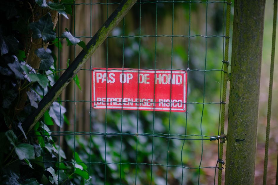 Rustieke tuin met verschillende soorten grassen. Rustieke tuin met verschillende soorten grassen.