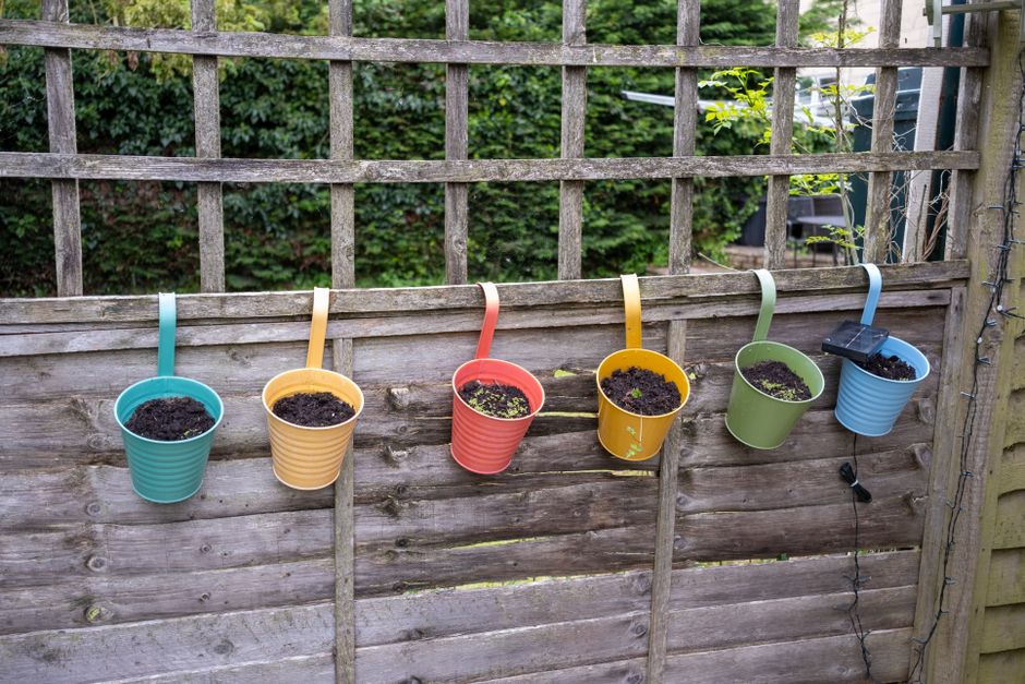 Kleurrijk tuinscherm versierd met planten.