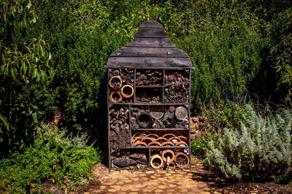Kleurrijke insectenhotels tussen vallende bladeren. Kleurrijke insectenhotels tussen vallende bladeren.