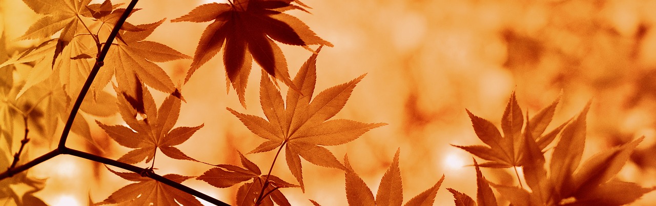 Verschillende tuinposters op maat zichtbaar in Belgische website.